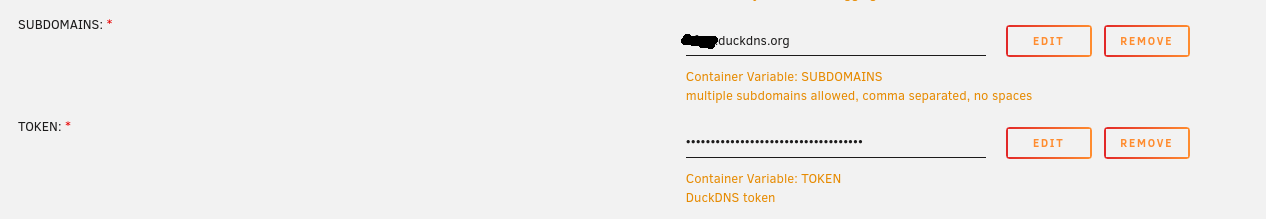 DuckDNS Settings